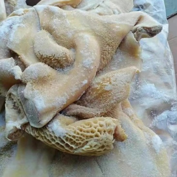 八成熟牛肚，出成率高