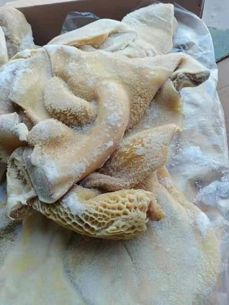 八成熟牛肚，出成率高