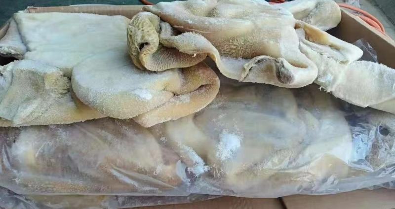 八成熟牛肚，出成率高