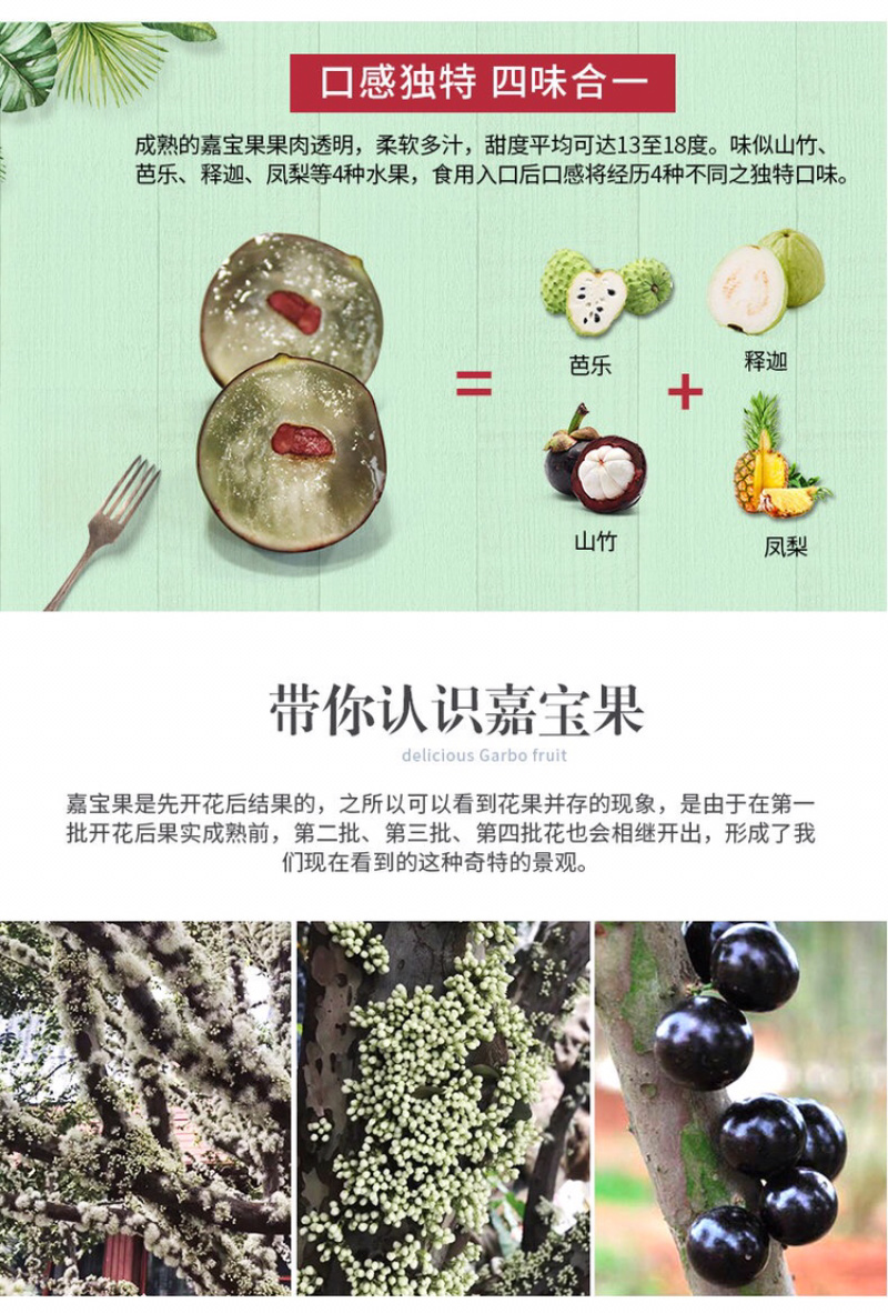 嘉宝果5斤，现摘现发，欲购从速。量大从优，顺丰包邮