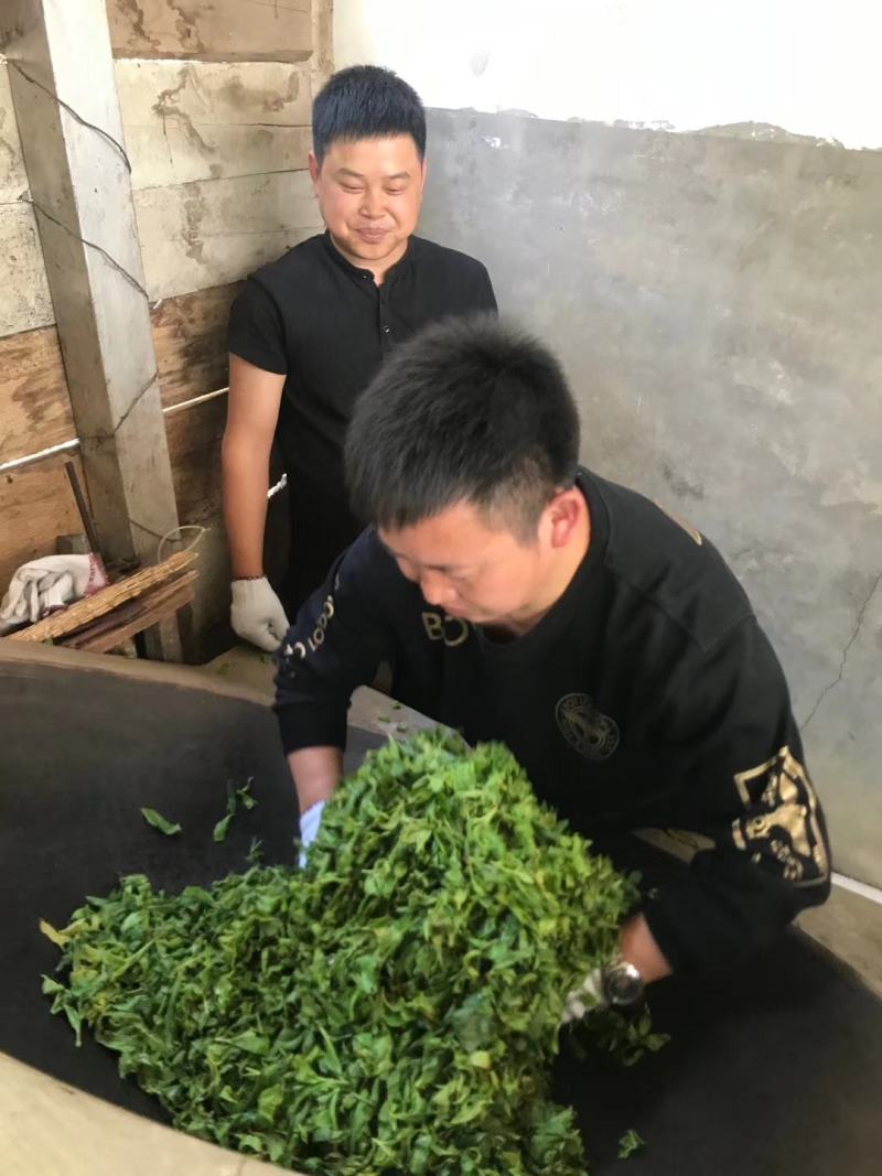 云南古树茶古树普洱茶百年古树茶普洱古树茶古树茶