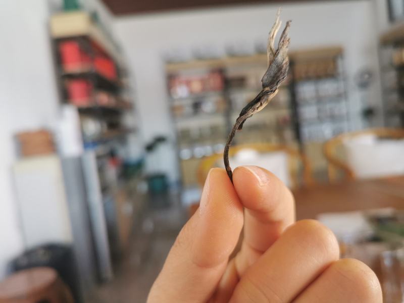 云南古树茶古树普洱茶百年古树茶普洱古树茶古树茶