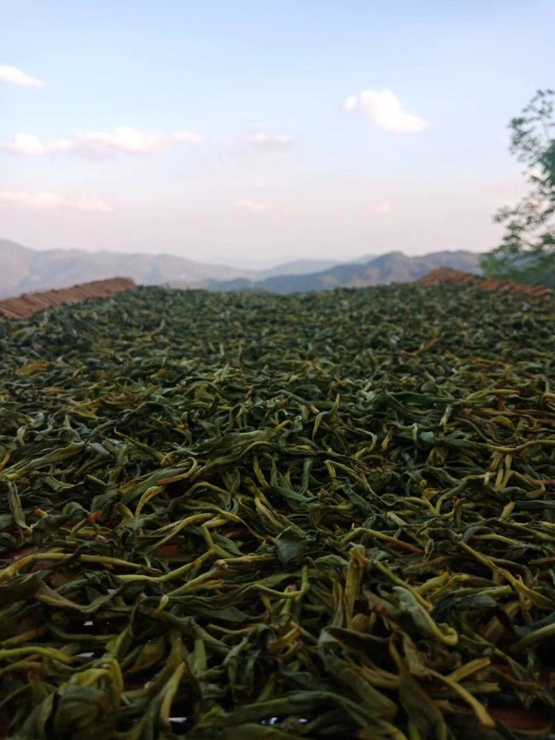 云南古树茶古树普洱茶百年古树茶普洱古树茶古树茶