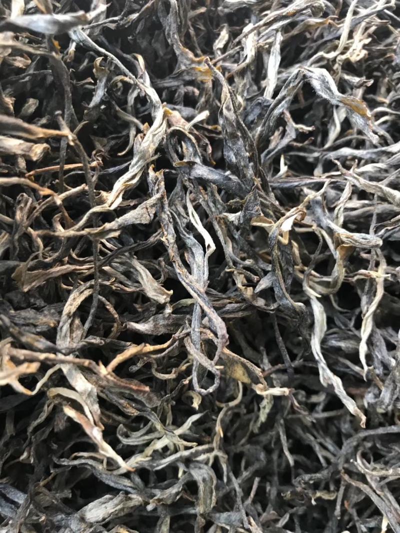 云南古树茶古树普洱茶百年古树茶普洱古树茶古树茶
