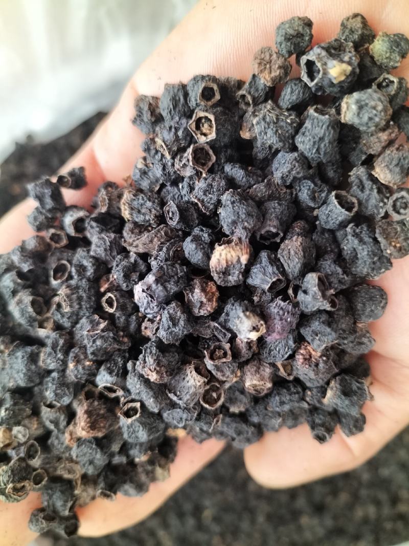 广东野生地菍干，大货供应，欢迎广大客商合作共赢。