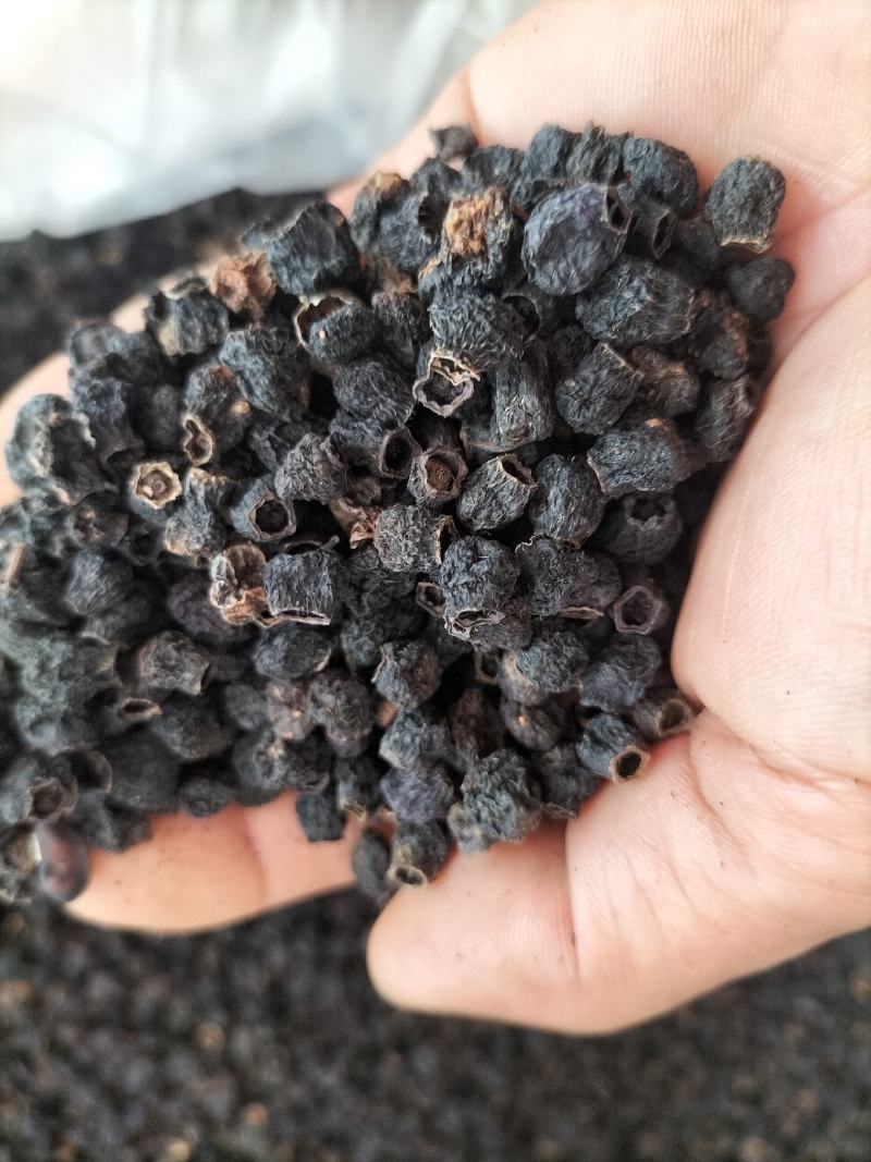 广东野生地菍干，大货供应，欢迎广大客商合作共赢。