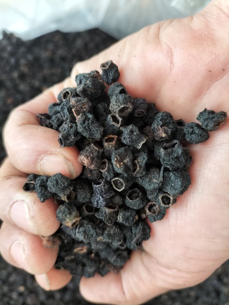 广东野生地菍干，大货供应，欢迎广大客商合作共赢。