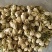 茉莉花茶无硫茉莉花包邮子露生物科技欢迎选购