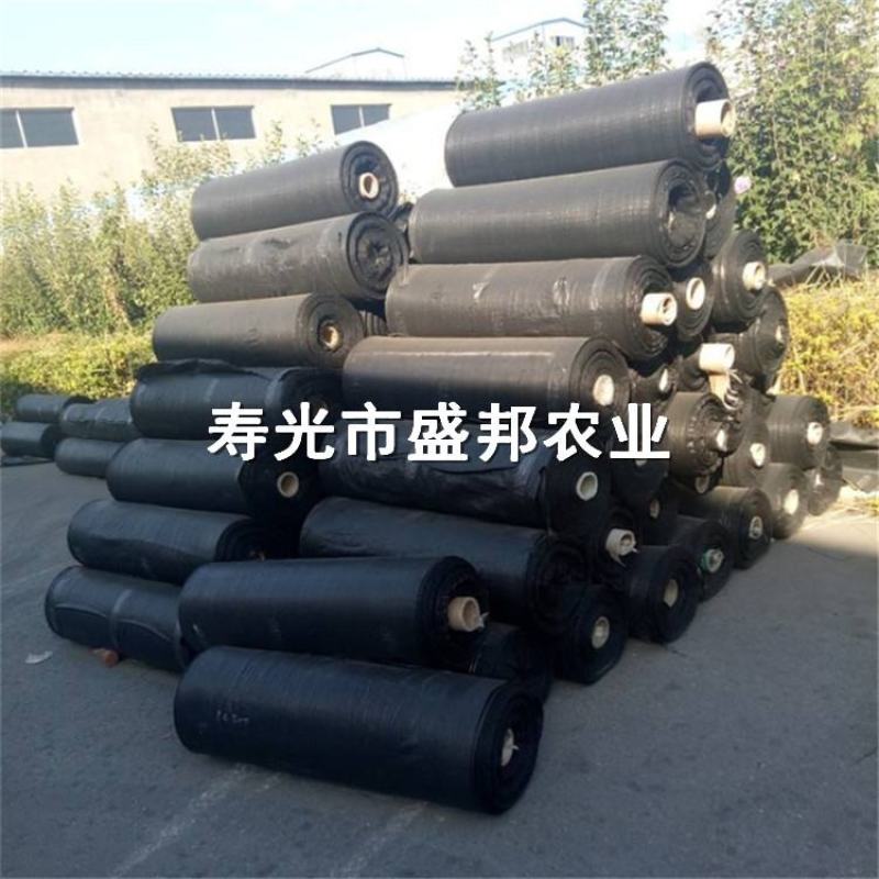 园艺地布果园防草布除草布支持定做