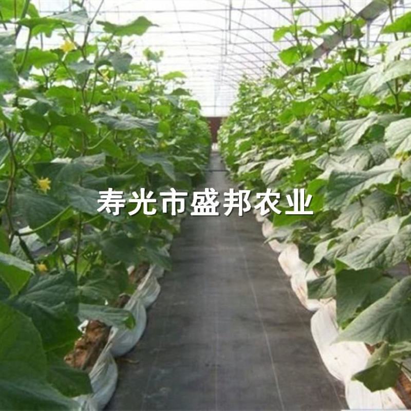 园艺地布果园防草布除草布支持定做