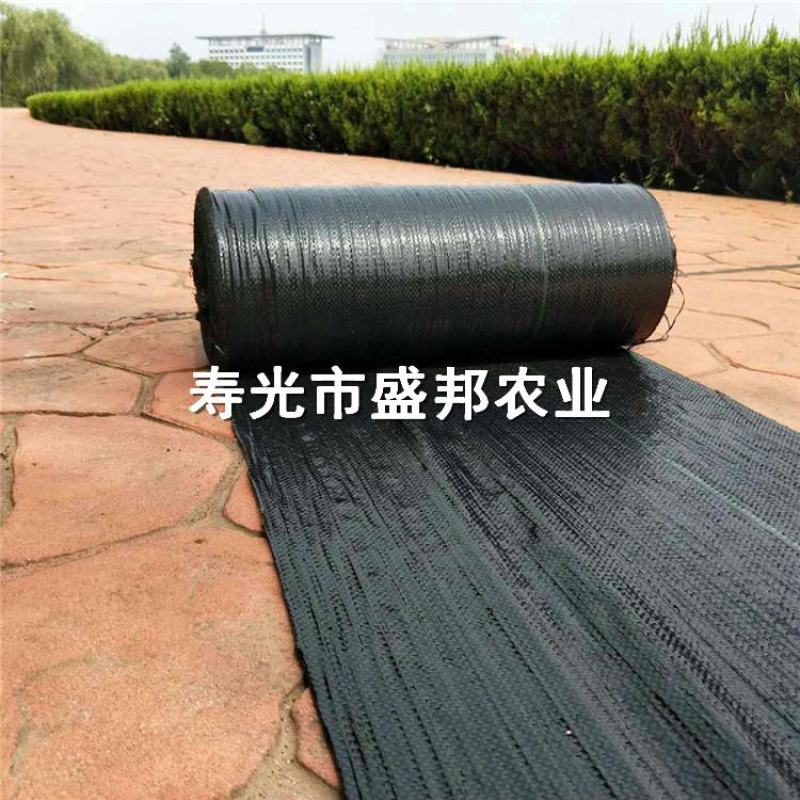园艺地布果园防草布除草布支持定做