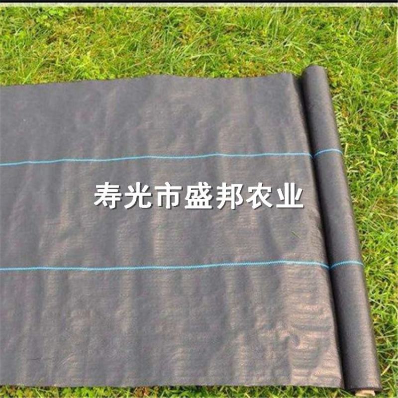 园艺地布果园防草布除草布支持定做