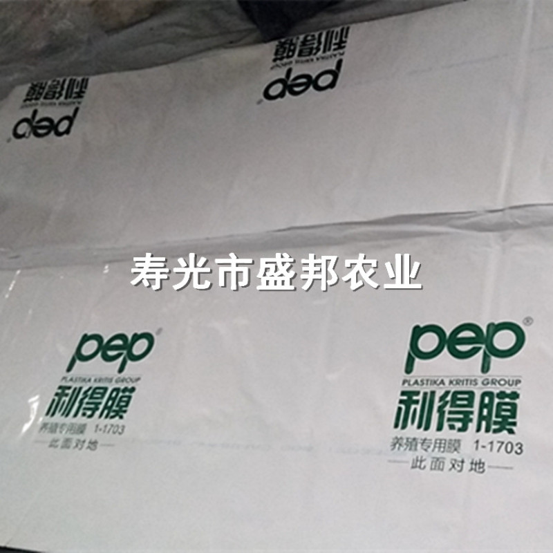 Pep乳白膜利得膜半透光膜国产阻燃膜