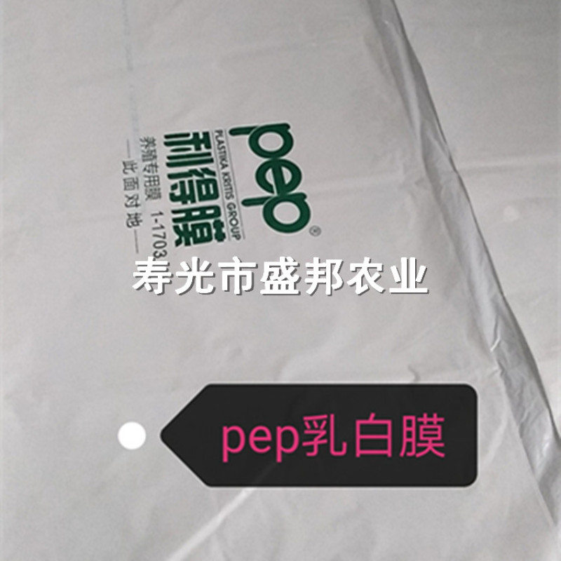 Pep乳白膜利得膜半透光膜国产阻燃膜