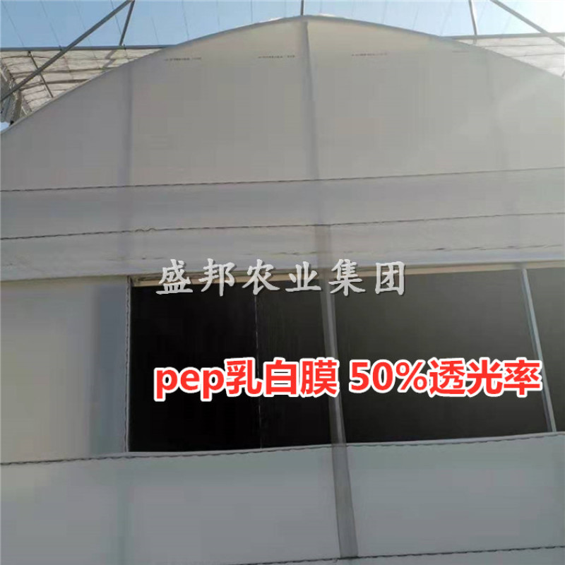 Pep乳白膜利得膜半透光膜国产阻燃膜
