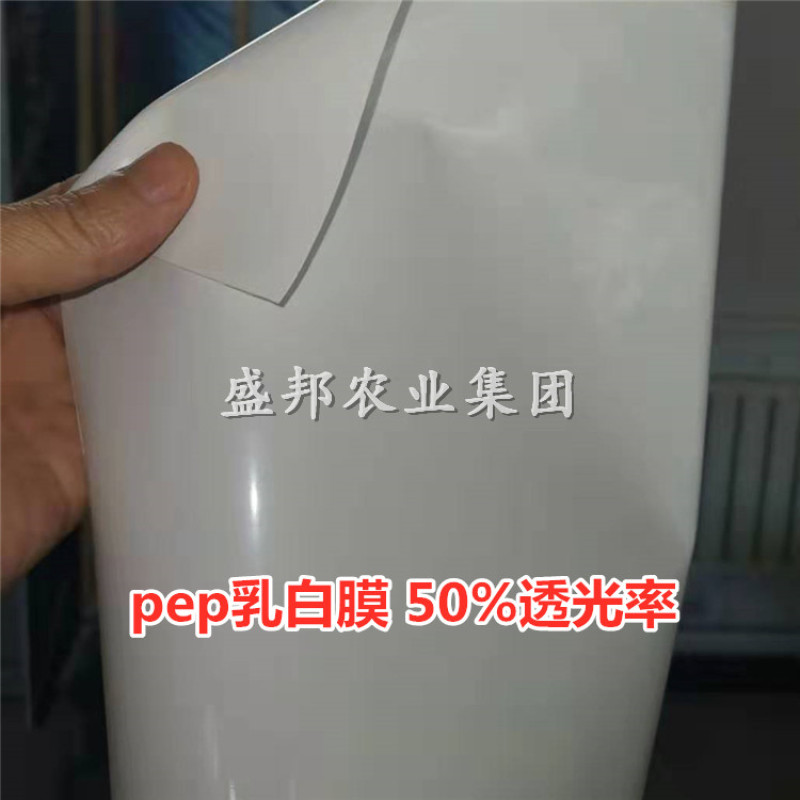 Pep乳白膜利得膜半透光膜国产阻燃膜