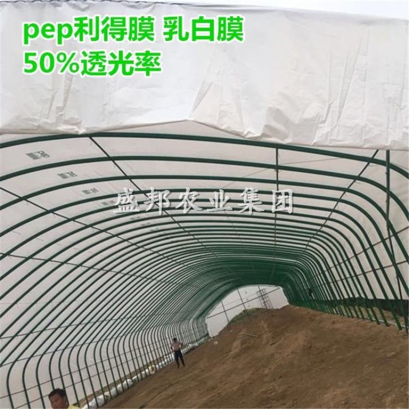 Pep乳白膜利得膜半透光膜国产阻燃膜