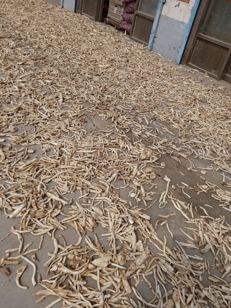 山东山药干条药厂专用去皮山药干条批发零售