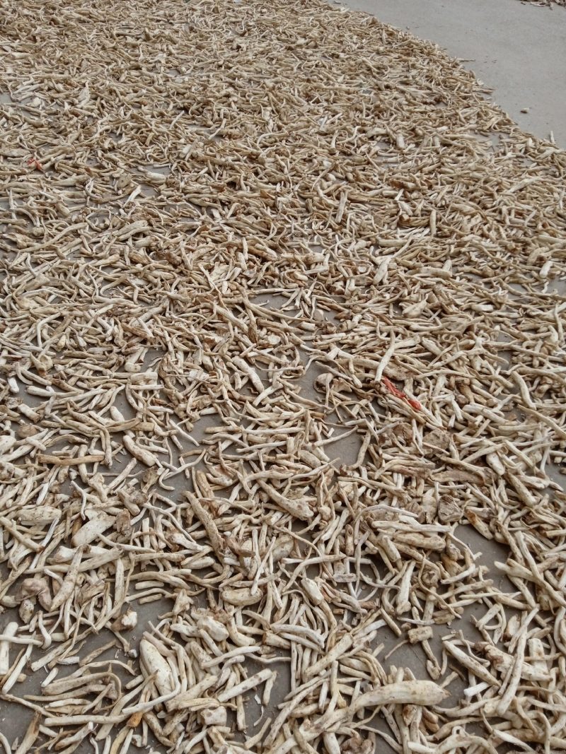 山东山药干条药厂专用去皮山药干条批发零售