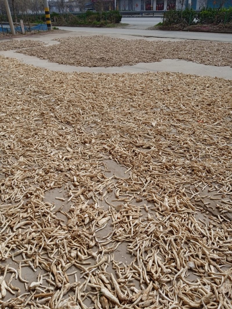 山东山药干条药厂专用去皮山药干条批发零售