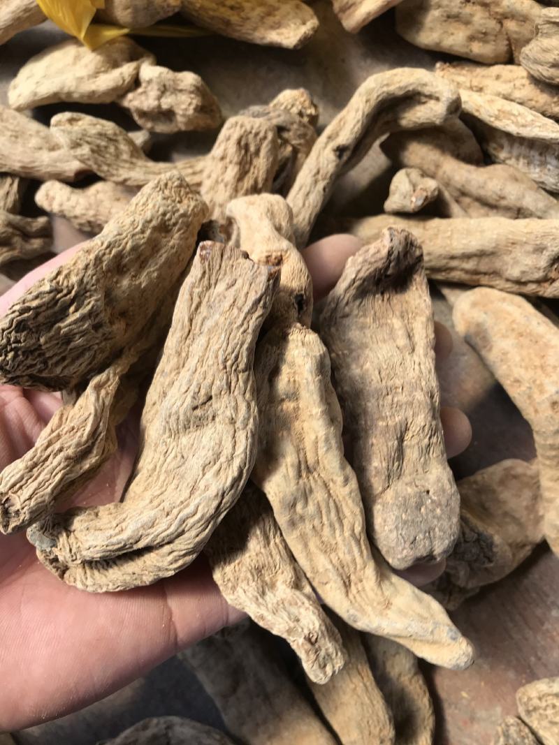 云南昭通非野生乌天麻丽江红天麻特级黑天麻丽江红天麻