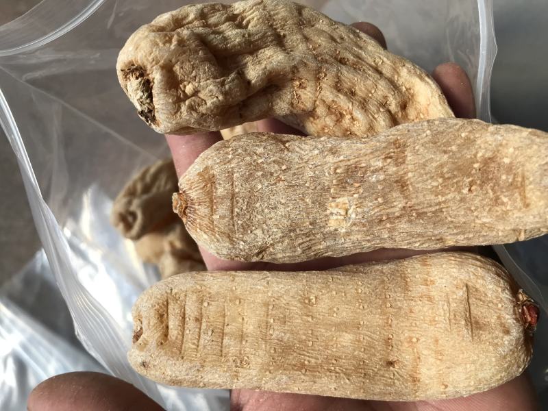云南昭通非野生乌天麻丽江红天麻特级黑天麻丽江红天麻