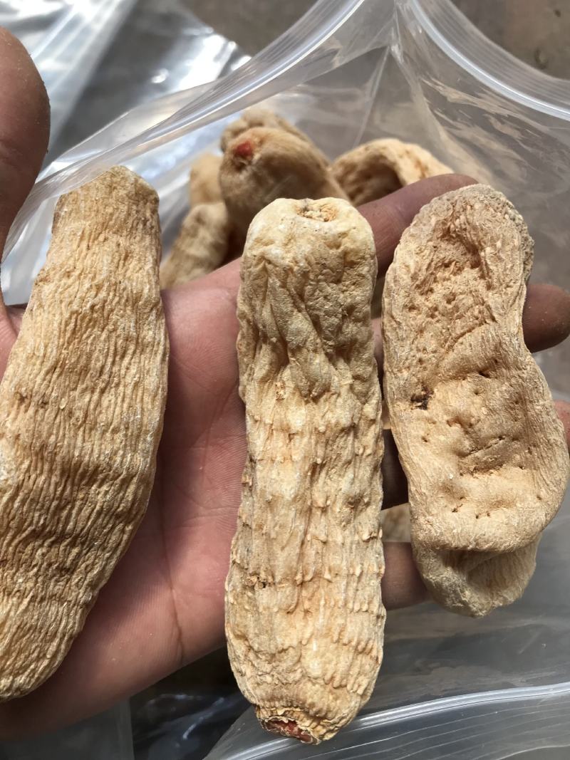 云南昭通非野生乌天麻丽江红天麻特级黑天麻丽江红天麻