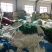 山药专用爬藤网搭架专用网厂家直销大量现货供应