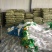 山药专用爬藤网搭架专用网厂家直销大量现货供应
