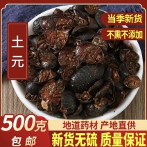 土元中药材野生无硫新贷500g正品