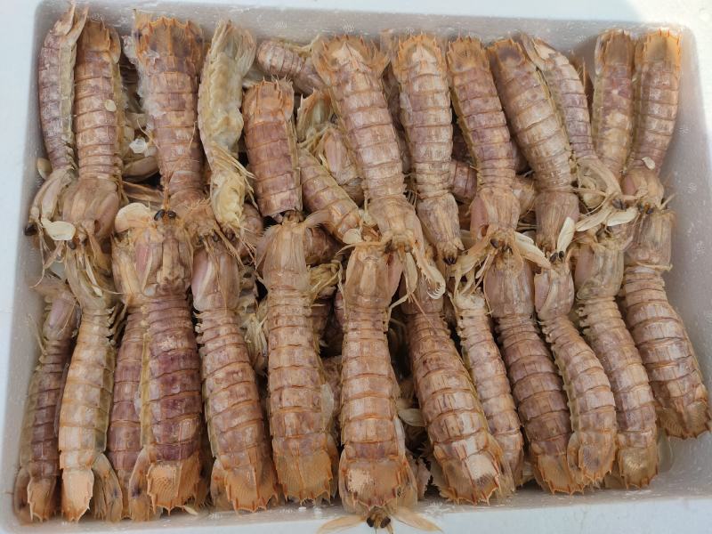 熟冻皮皮虾自助餐必备食材质量好价格低