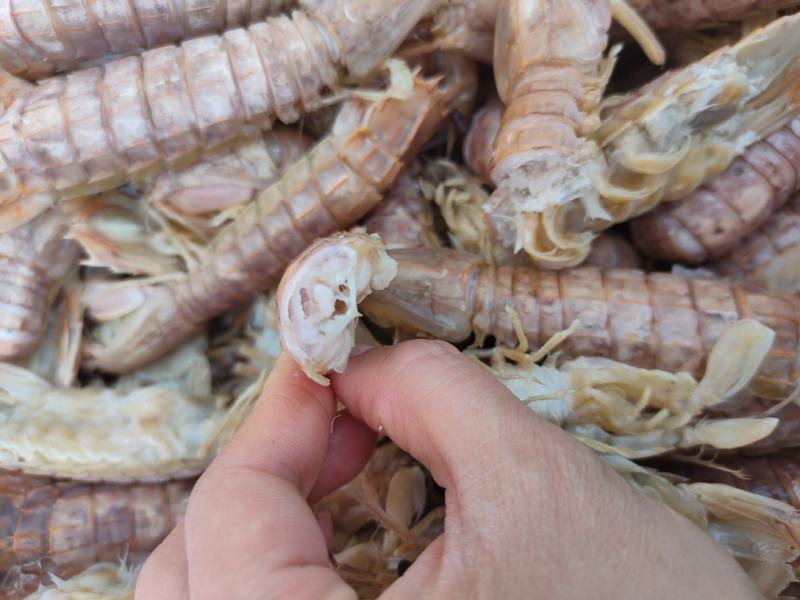熟冻皮皮虾自助餐必备食材质量好价格低