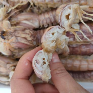 熟冻皮皮虾自助餐必备食材质量好价格低