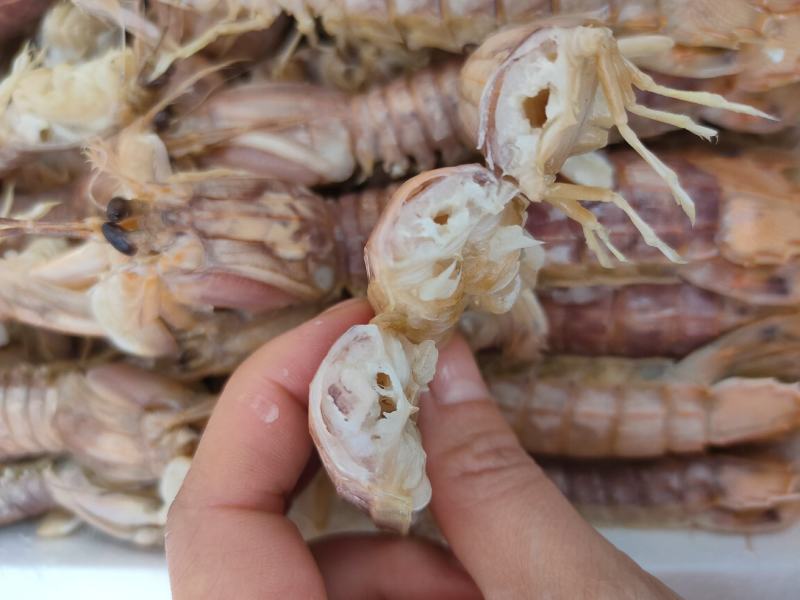 熟冻皮皮虾自助餐必备食材质量好价格低