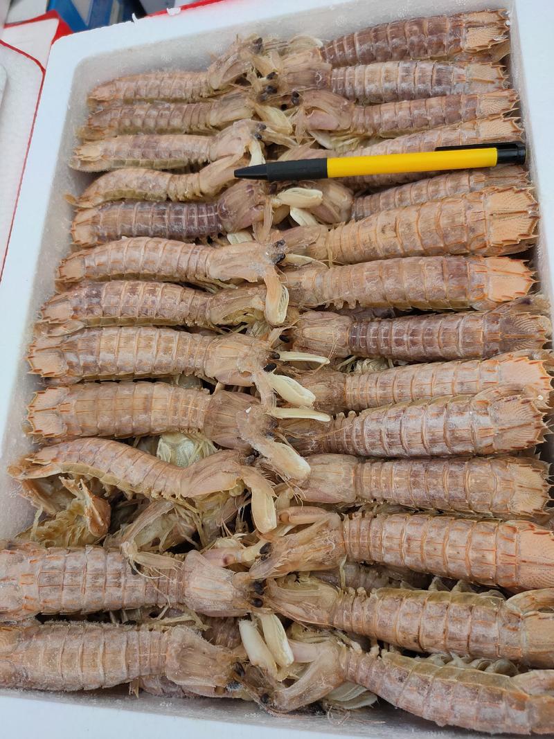 熟冻皮皮虾自助餐必备食材质量好价格低