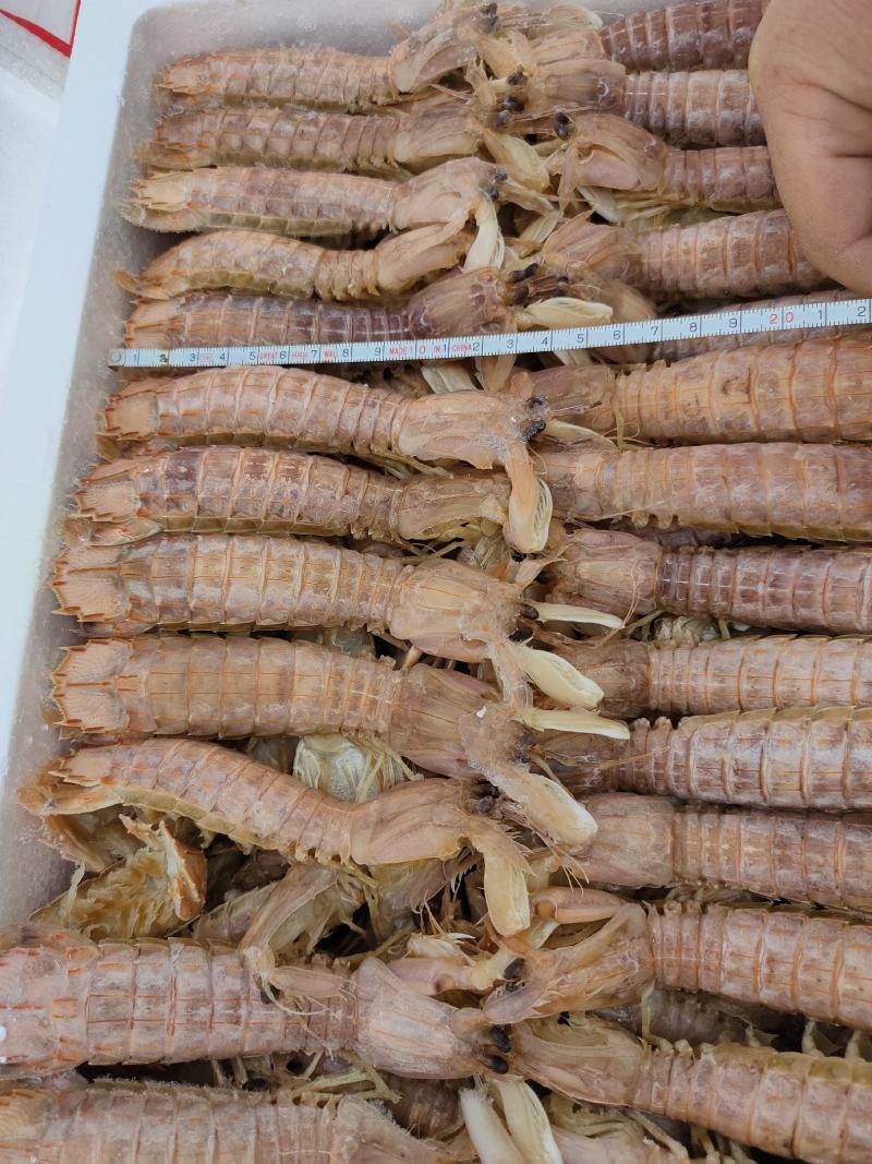 熟冻皮皮虾自助餐必备食材质量好价格低