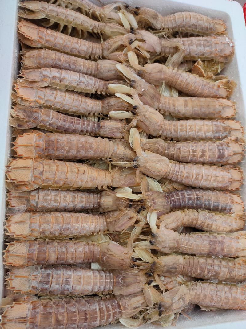 熟冻皮皮虾自助餐必备食材质量好价格低