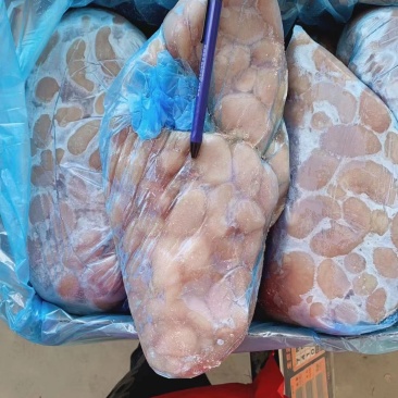鸡腰子个头大货新鲜大量批发