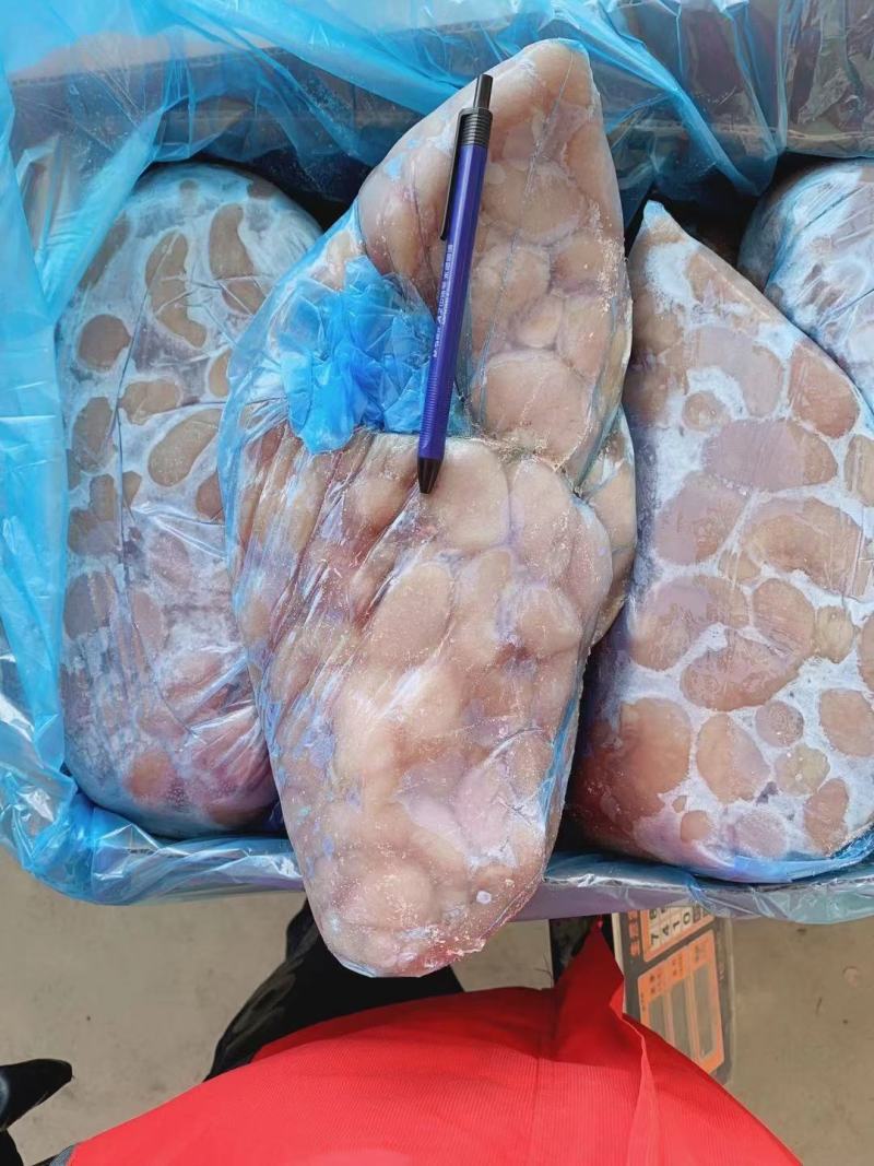 鸡腰子个头大货新鲜大量批发