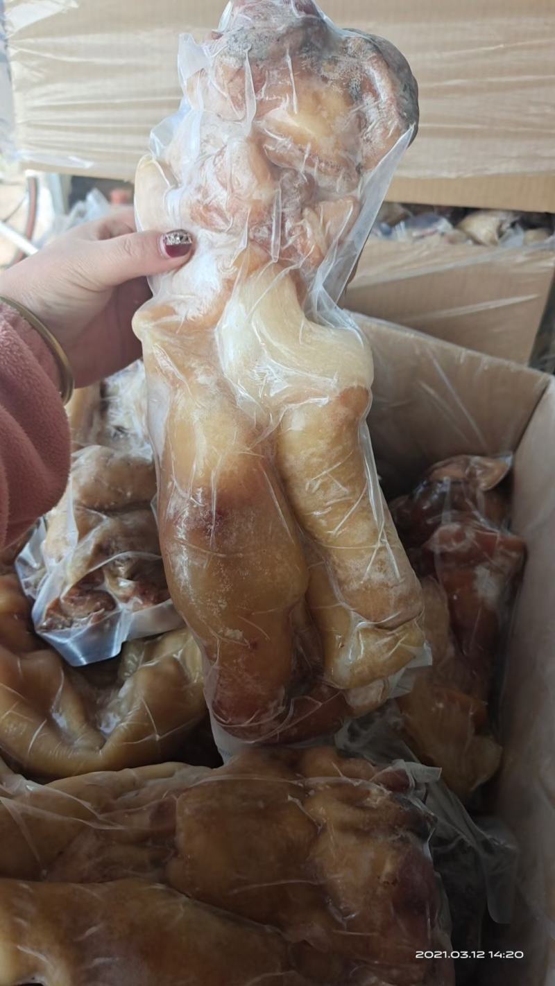 牛蹄，整个牛蹄，火烧毛牛蹄，质量保证，一手货源