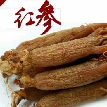 产地包邮全须红参边条优货批发价位