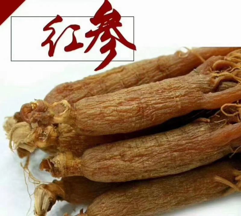 产地包邮全须红参边条优货批发价位