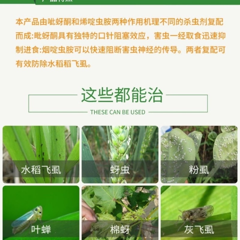 沪联歼飞80%烯啶吡蚜酮蔬菜蓟马蚜虫水稻稻飞虱农药杀虫剂