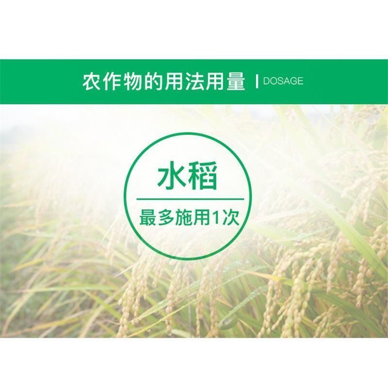 40克国光多效唑小麦芒果荔枝柑橘多肉控旺控徒长花芽矮化剂