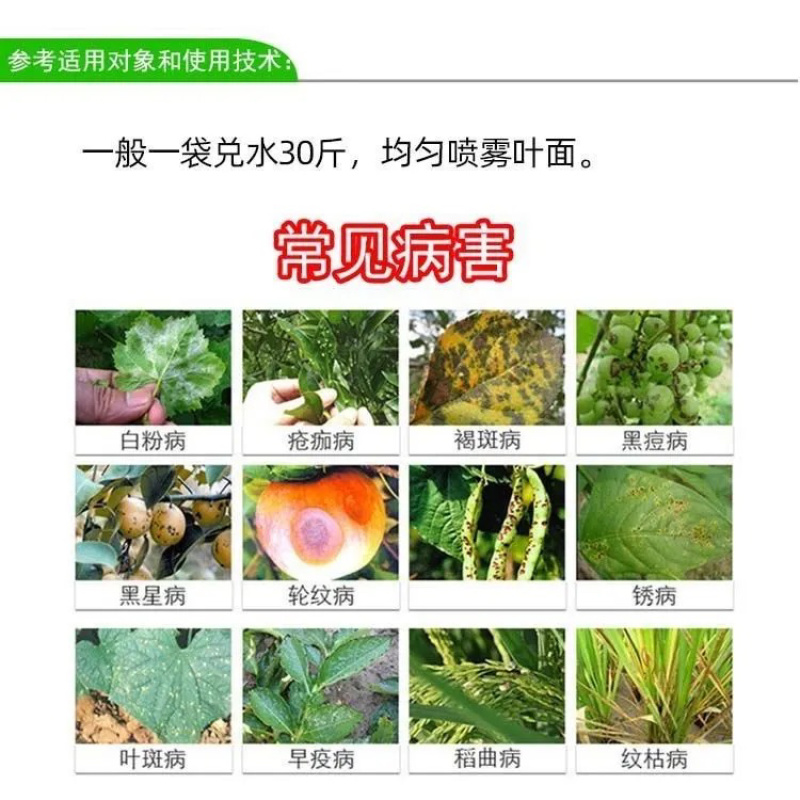 90%多菌灵高含量果树油菜烟草叶斑花卉多肉白粉病菌核病