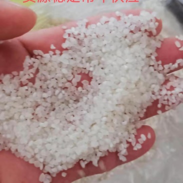 进口印度碎米，质优价廉，酒碎米，货源稳定，河粉螺蛳粉原料