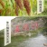 粮食酒整箱酱香型53度坤沙白酒原浆白酒窖藏老酒散装特价