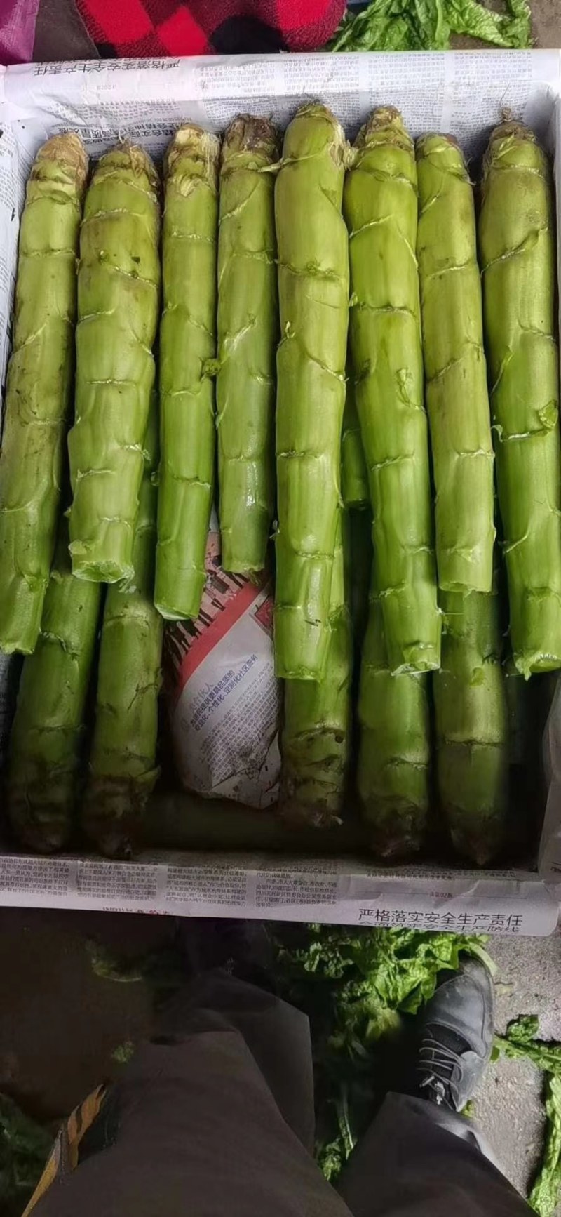 三青莴笋翡翠精品