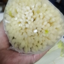 小李精品小把，欢迎订购，