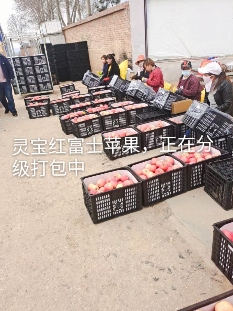 不掏交易费的，切勿打扰，灵宝寺河山SOD天然富硒，